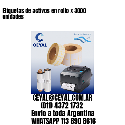 Etiquetas de activos en rollo x 3000 unidades