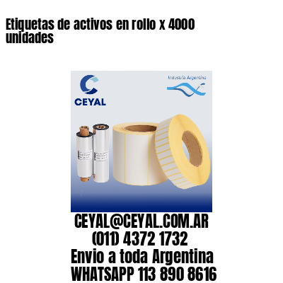 Etiquetas de activos en rollo x 4000 unidades