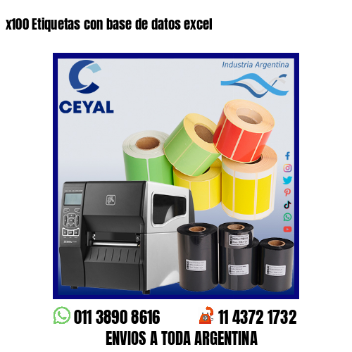 x100 Etiquetas con base de datos excel