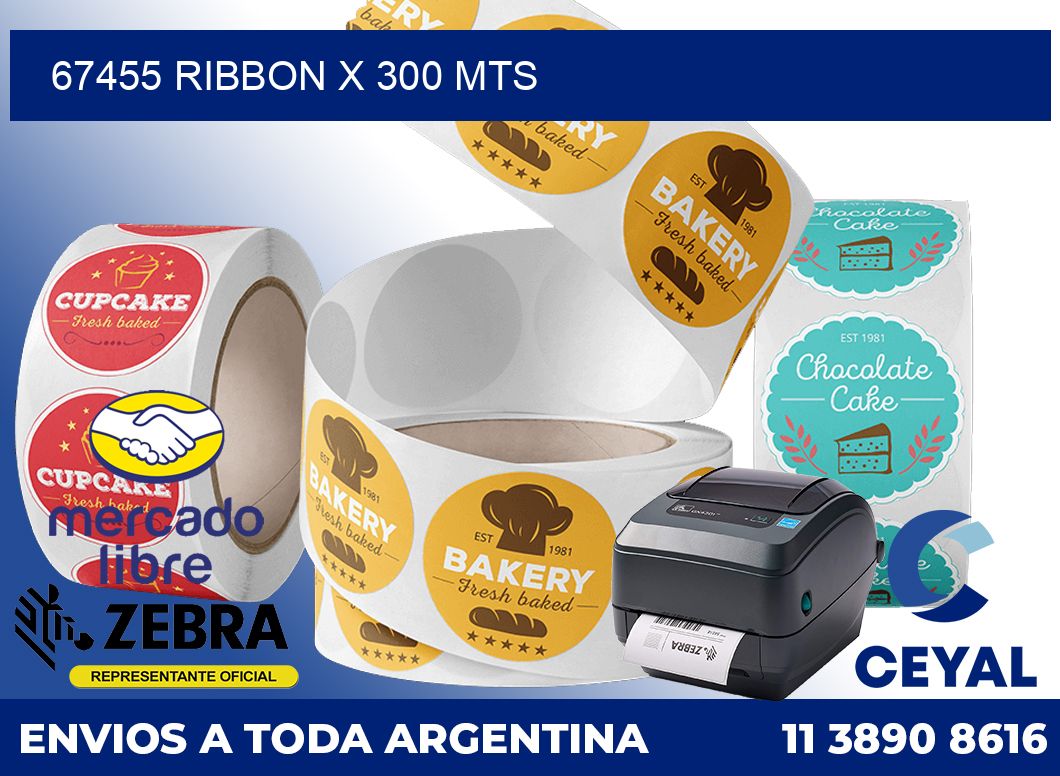 67455 ribbon x 300 mts