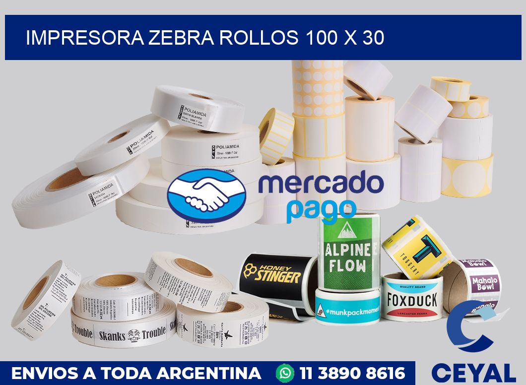 Impresora Zebra rollos 100 x 30