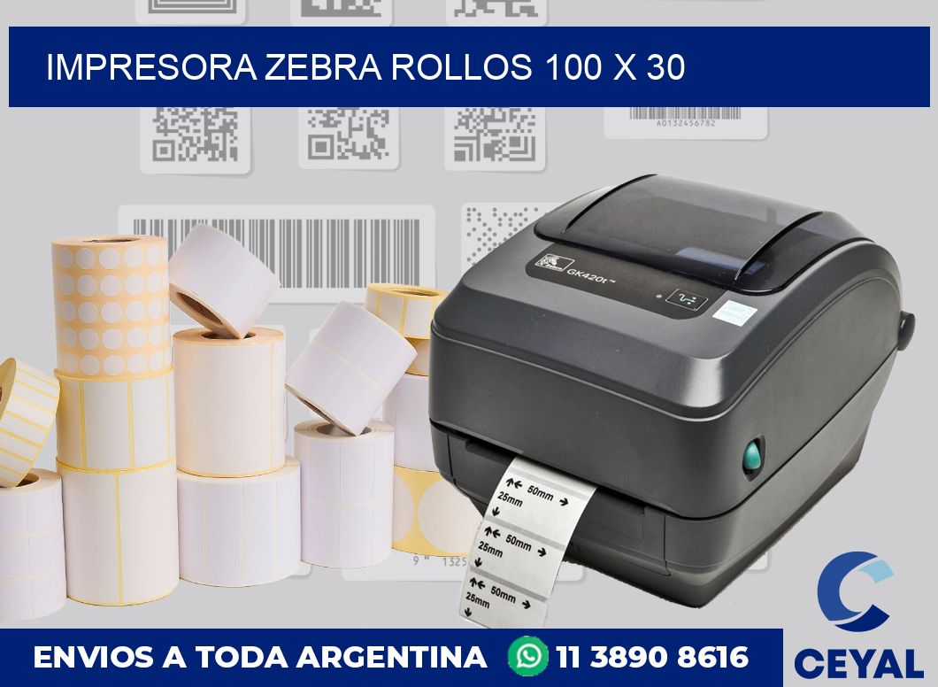 Impresora Zebra rollos 100 x 30