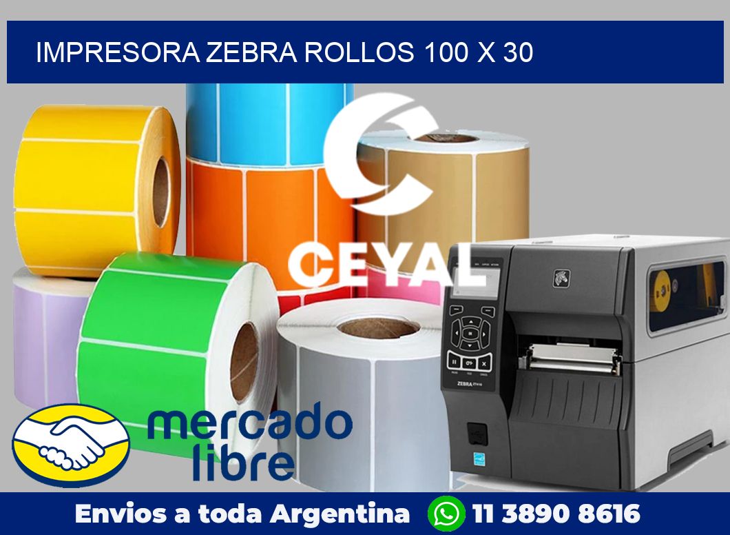 Impresora Zebra rollos 100 x 30