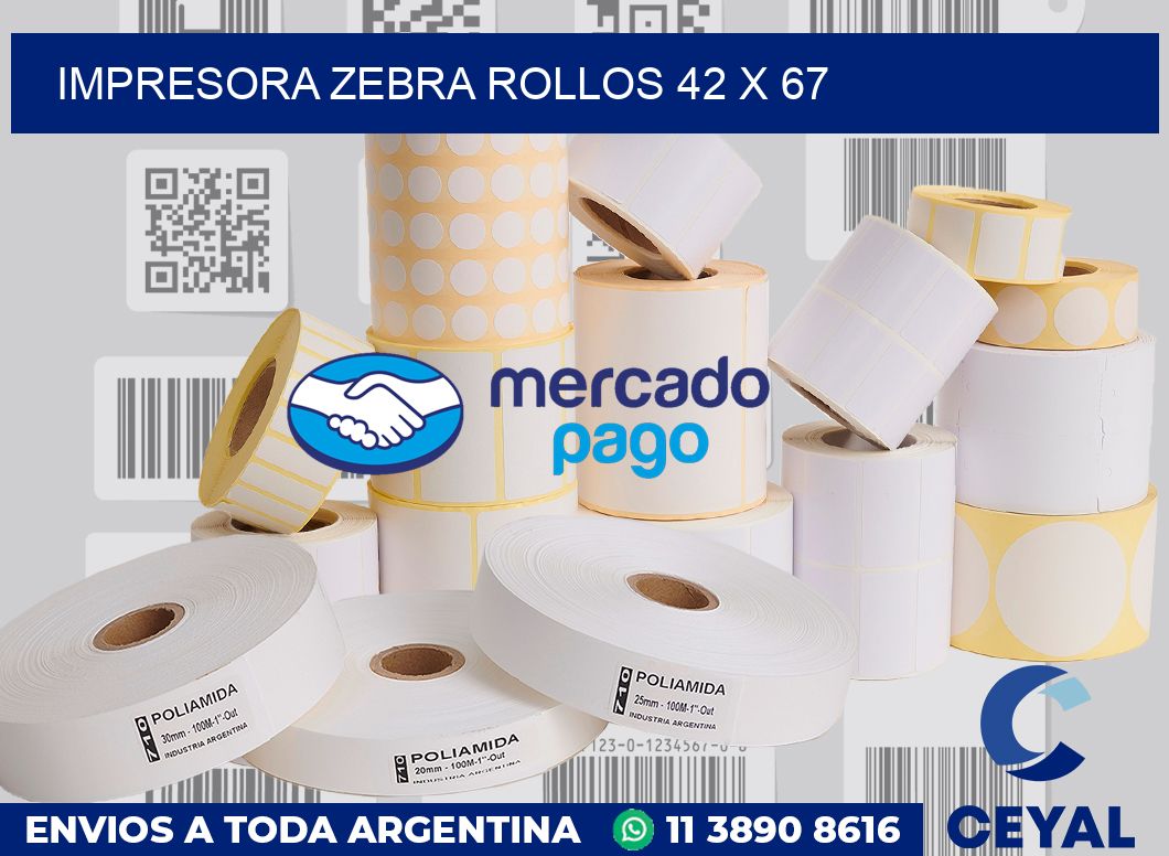 Impresora Zebra rollos 42 x 67