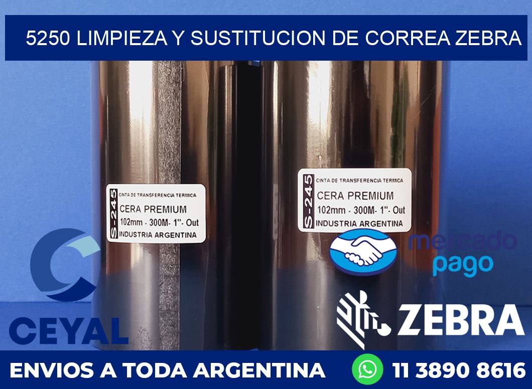 5250 LIMPIEZA Y SUSTITUCION DE CORREA ZEBRA