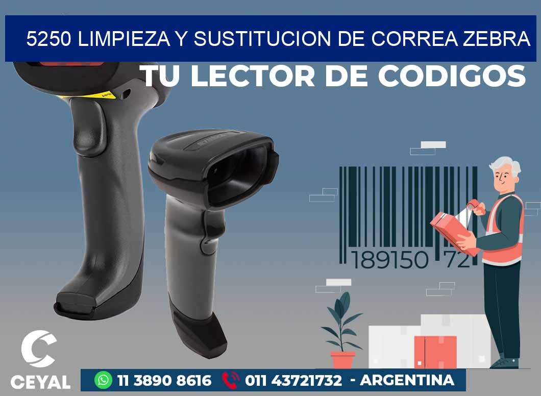 5250 LIMPIEZA Y SUSTITUCION DE CORREA ZEBRA