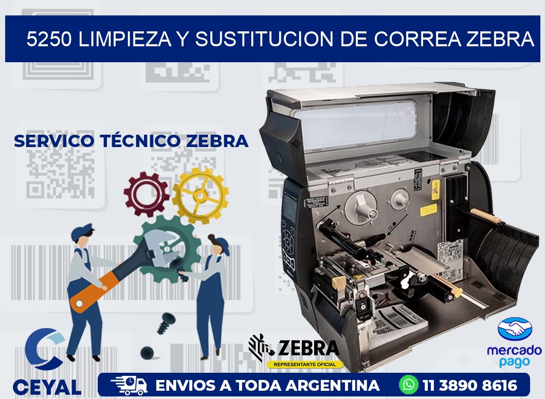 5250 LIMPIEZA Y SUSTITUCION DE CORREA ZEBRA