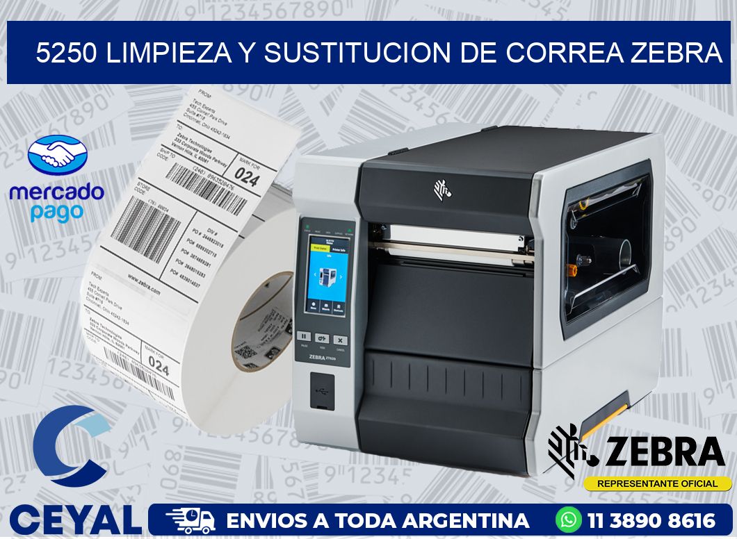 5250 LIMPIEZA Y SUSTITUCION DE CORREA ZEBRA