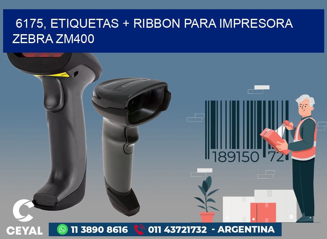 6175, etiquetas + ribbon para impresora zebra ZM400