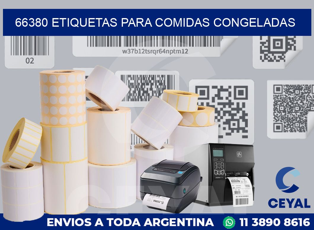 66380 ETIQUETAS PARA COMIDAS CONGELADAS