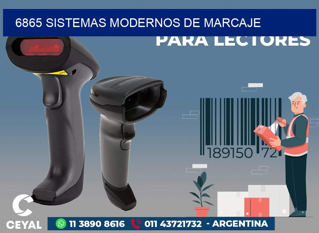 6865 SISTEMAS MODERNOS DE MARCAJE