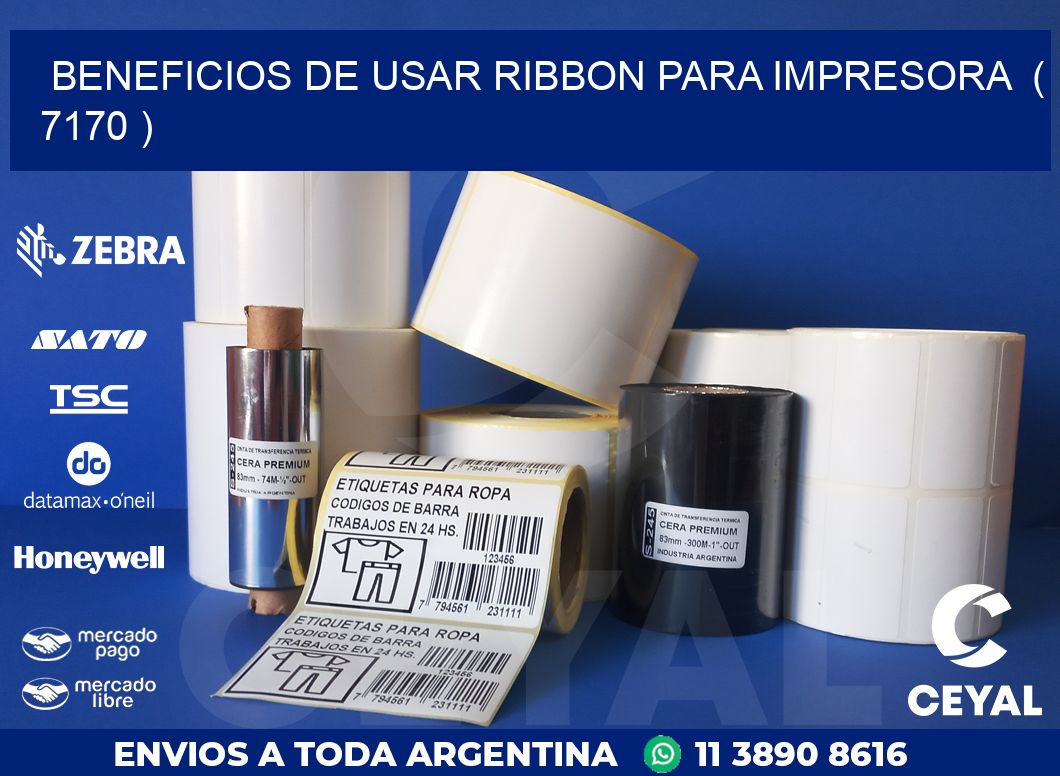 BENEFICIOS DE USAR RIBBON PARA IMPRESORA  ( 7170 )