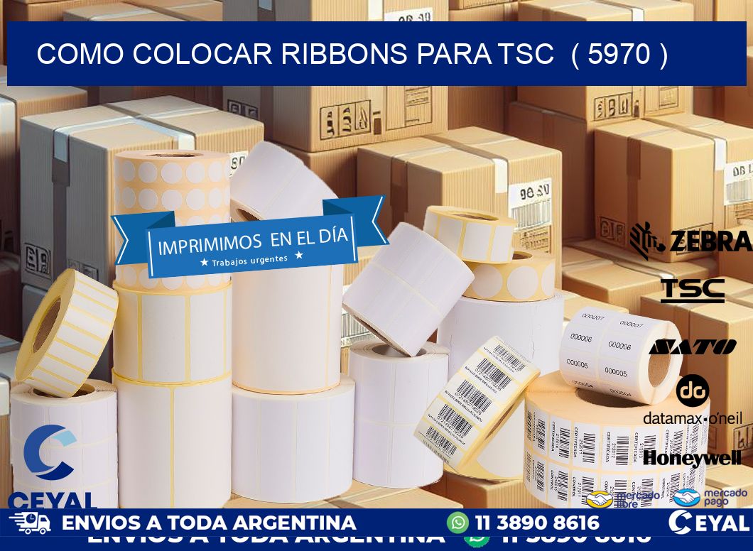 COMO COLOCAR RIBBONS PARA TSC  ( 5970 )