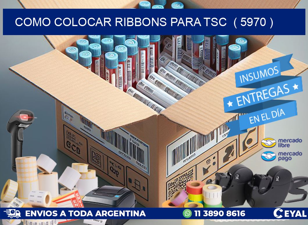 COMO COLOCAR RIBBONS PARA TSC  ( 5970 )