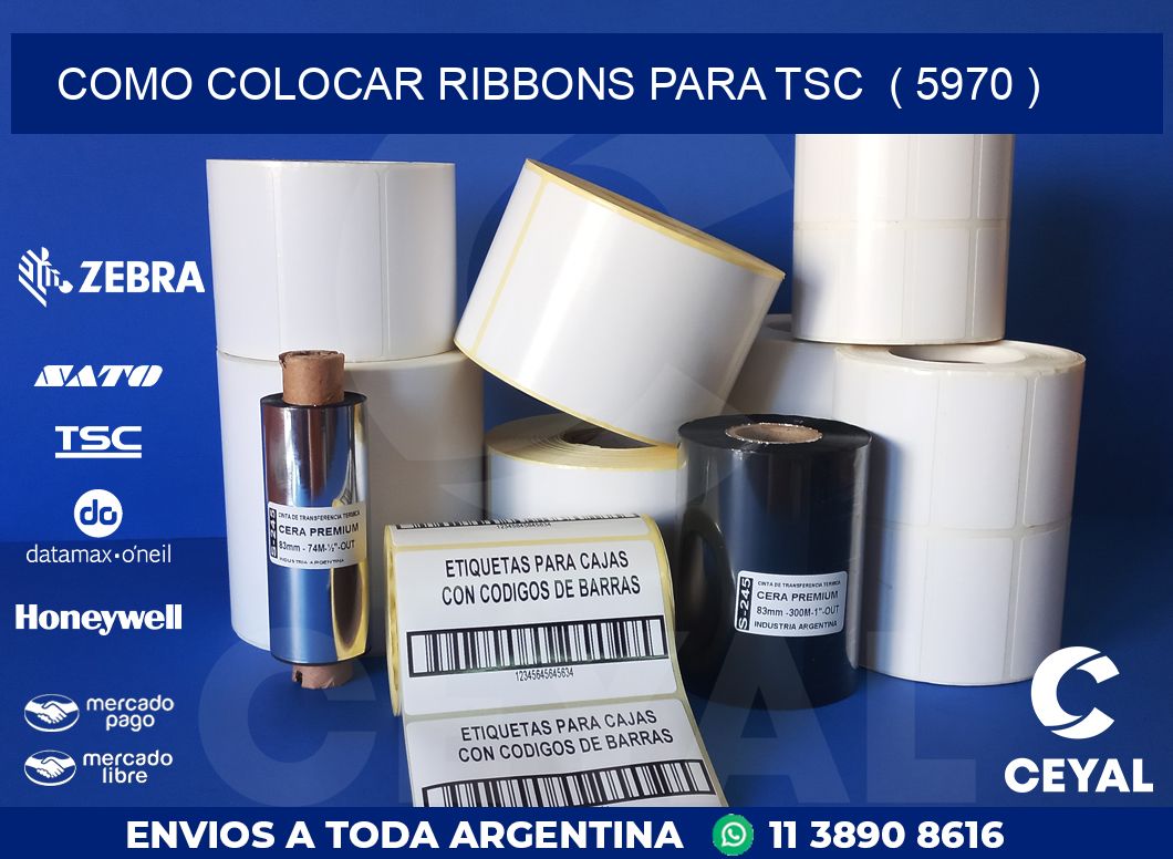 COMO COLOCAR RIBBONS PARA TSC  ( 5970 )