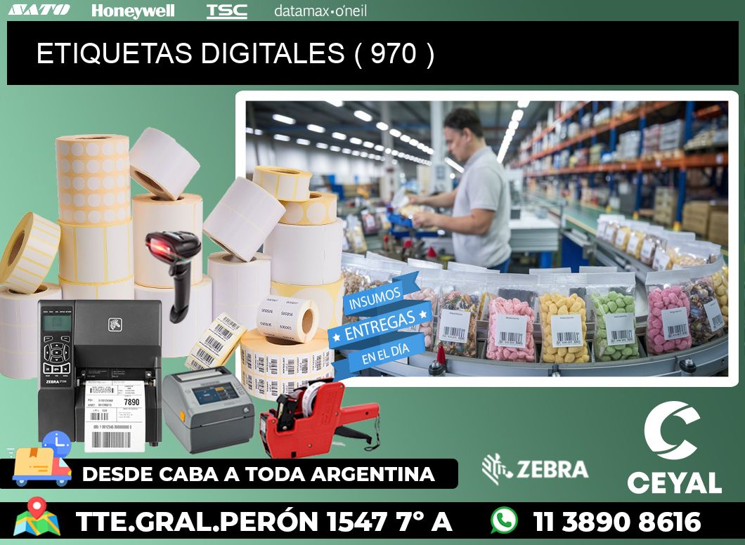 ETIQUETAS DIGITALES ( 970 )