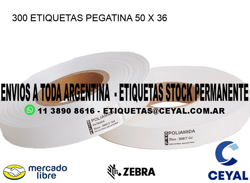 300 ETIQUETAS PEGATINA 50 x 36