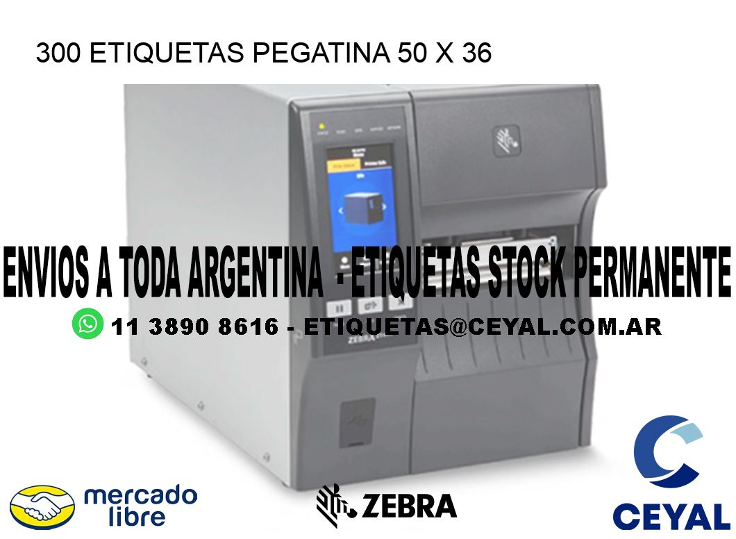 300 ETIQUETAS PEGATINA 50 x 36