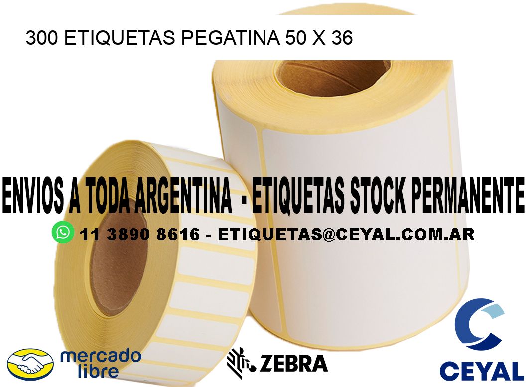 300 ETIQUETAS PEGATINA 50 x 36