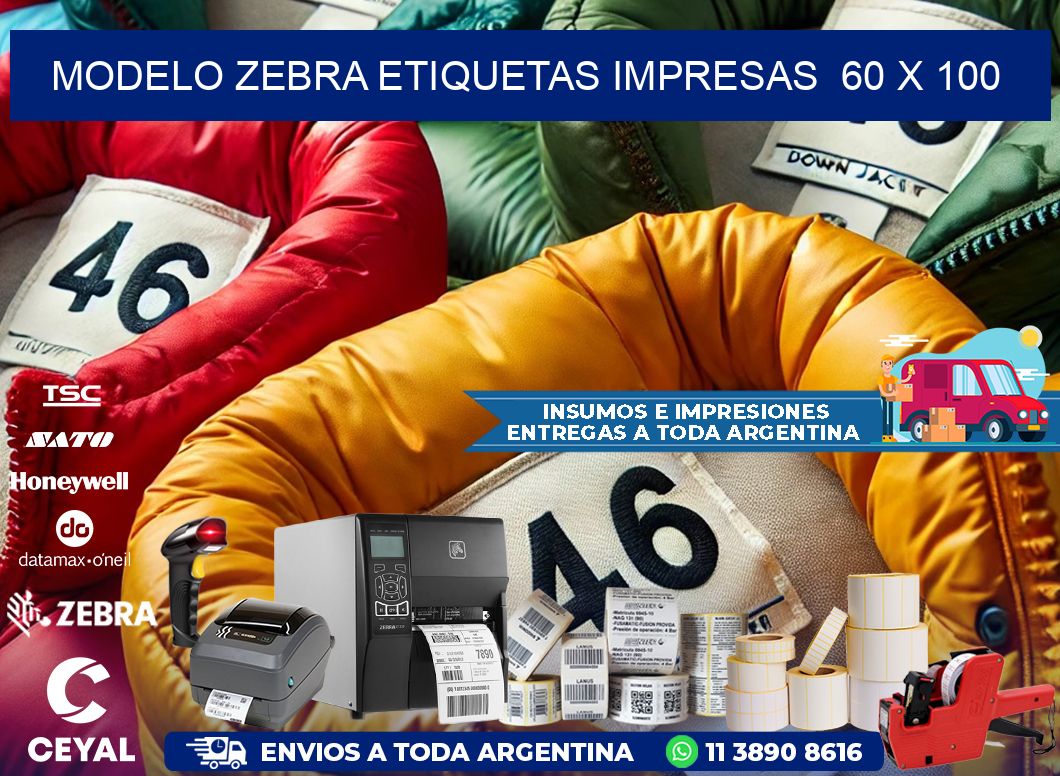 MODELO ZEBRA ETIQUETAS IMPRESAS  60 x 100