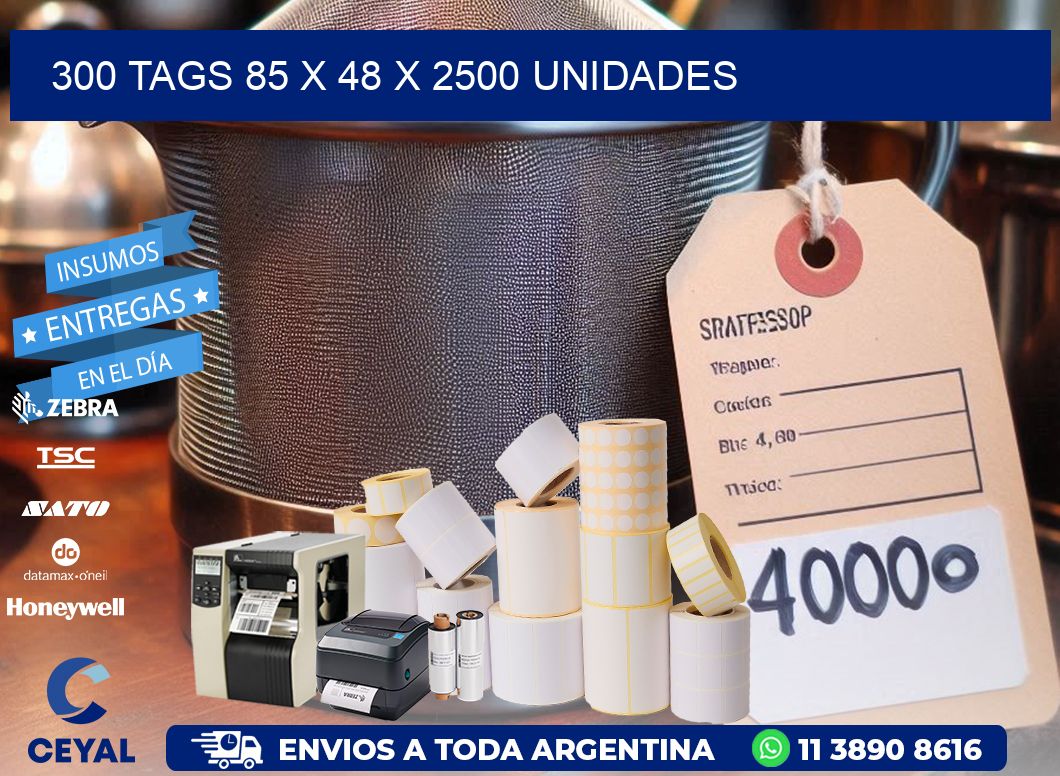 300 TAGS 85 x 48 X 2500 UNIDADES